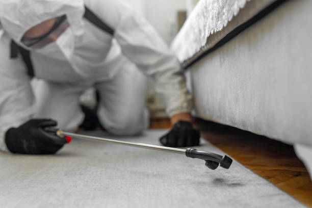 Professional Termite Control technician working in Roosevelt Park, MI