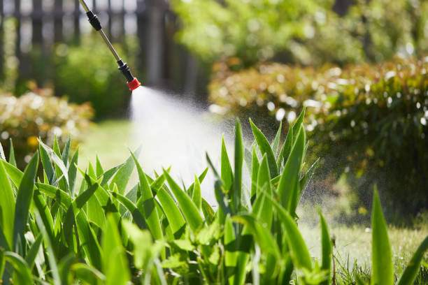 24/7 Emergency Termite Control experts in Roosevelt Park, MI