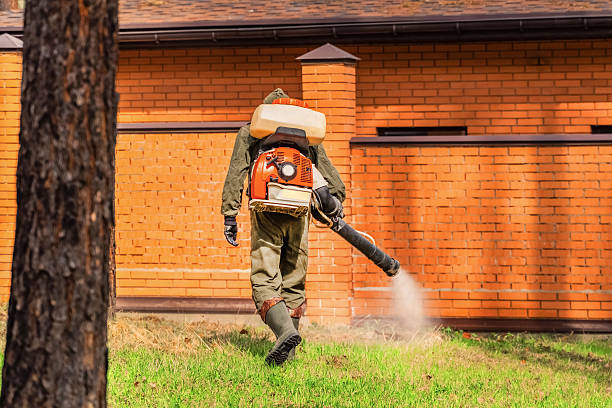 Trusted Termite Control service in Roosevelt Park, MI - Nex Pest Control
